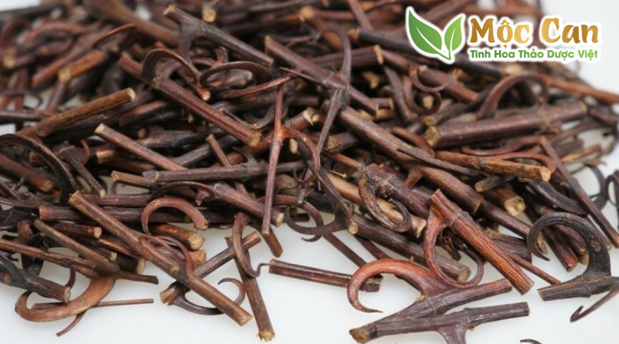 Người bị huyết áp cao chớ bỏ qua các thảo dược dưới đây 1